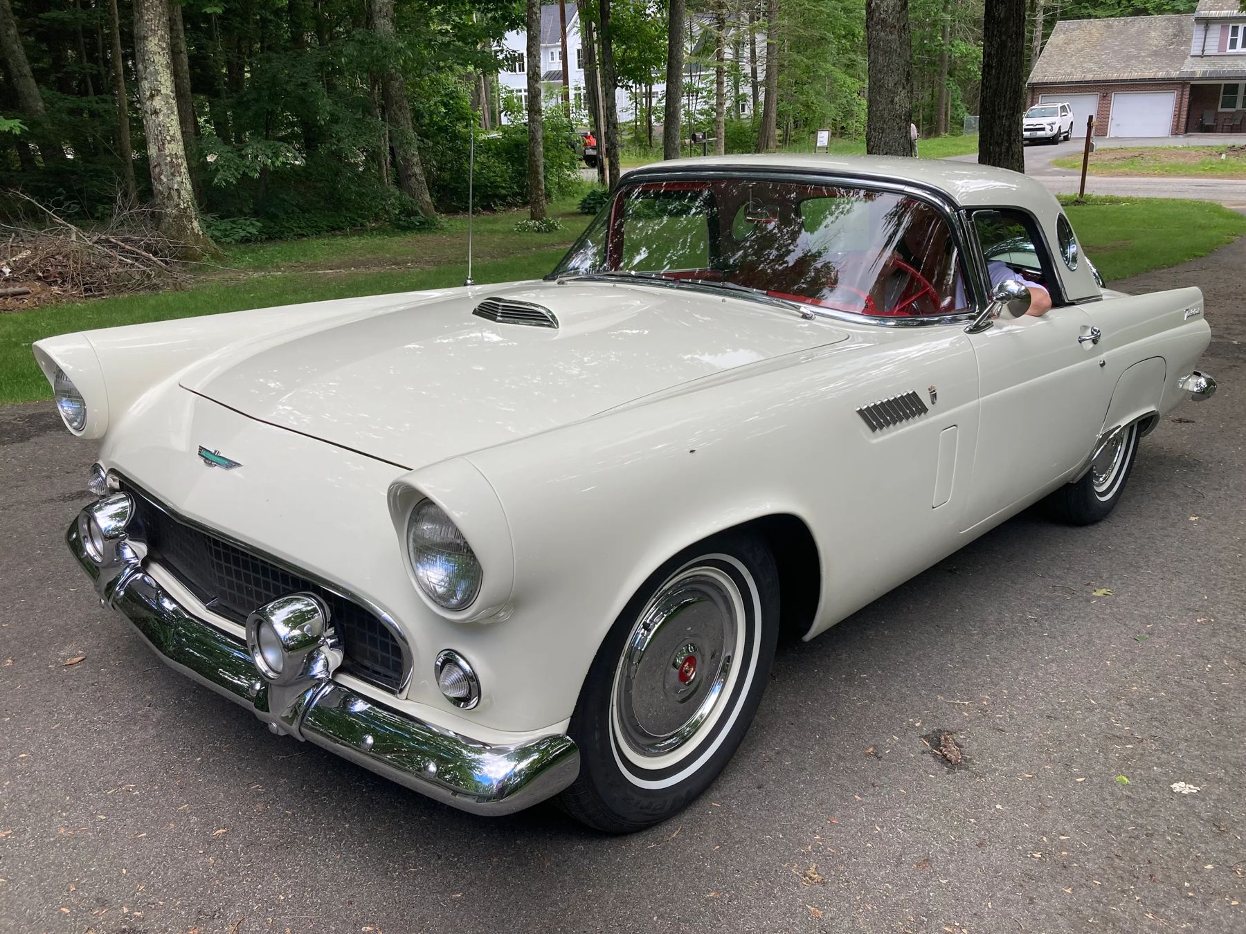 A Thunderbird on a wooded driveway